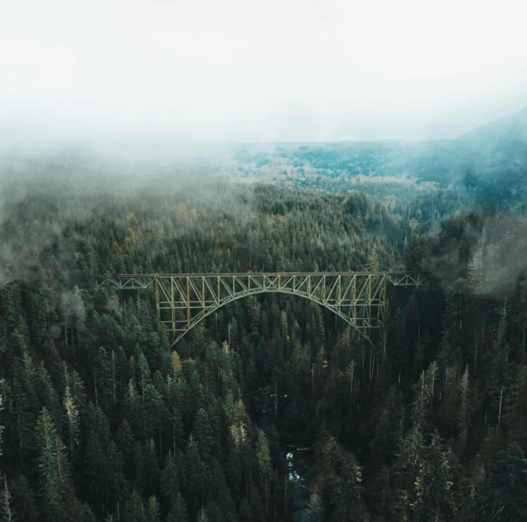 bridge