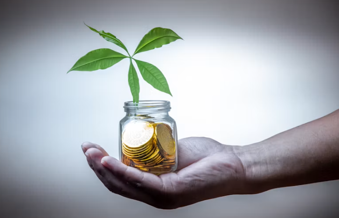 Financial growth concept with coins and plant